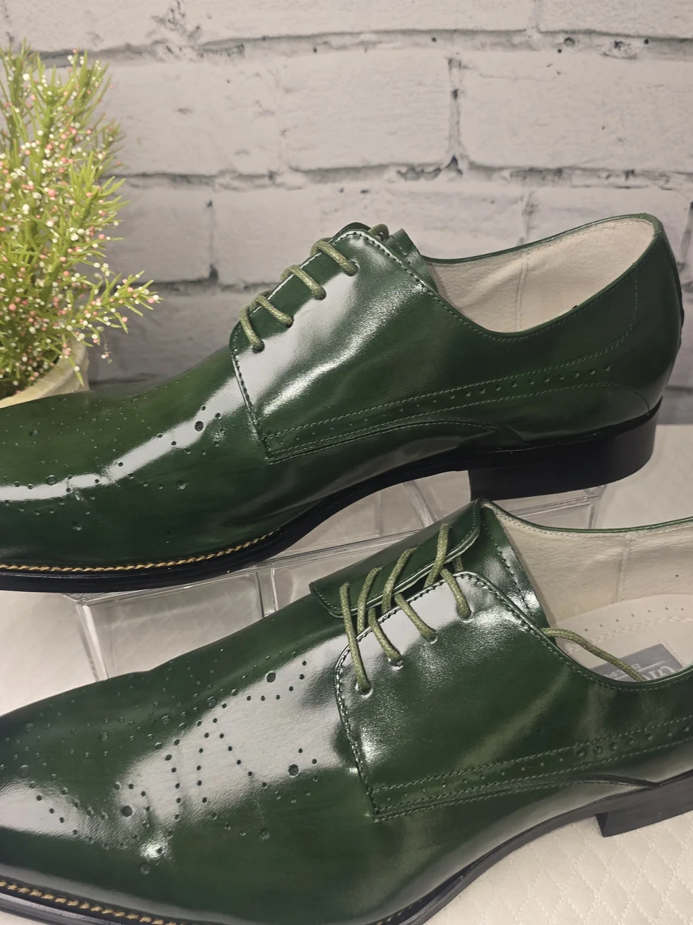 GIOVANNI JOEL MENS GREEN LEATHER LACE-UP DRESS SHOE GLOSSY WING TIP DERBY 12